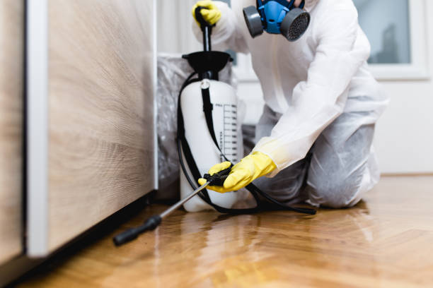 Best Flea Control Services  in Enfield, NC