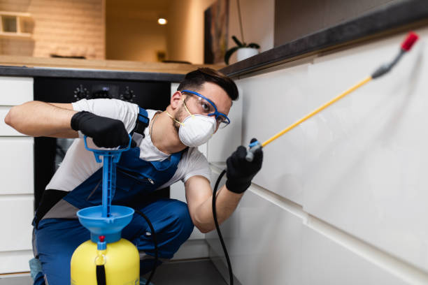 Best Pest Inspection Near Me  in Enfield, NC