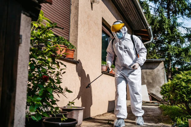 Best Bed Bug Extermination  in Enfield, NC