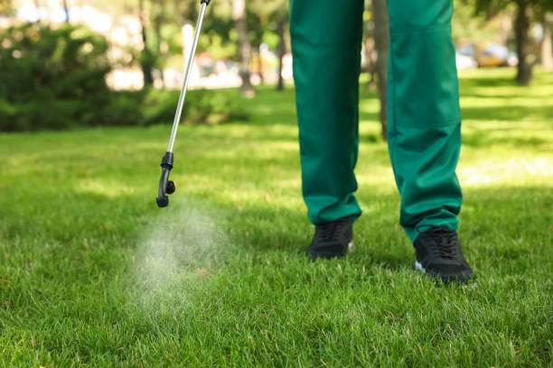 Best Commercial Pest Control Services  in Enfield, NC
