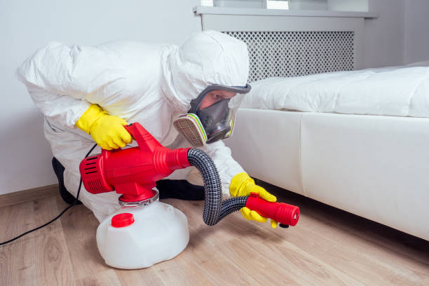Best Wasp Removal Services  in Enfield, NC