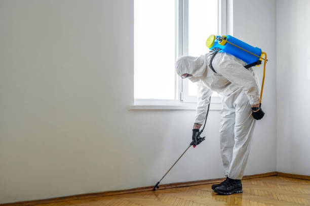 Reliable Enfield, NC Pest Control Solutions
