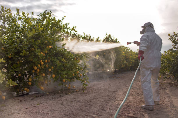 Best Ant Control Services  in Enfield, NC