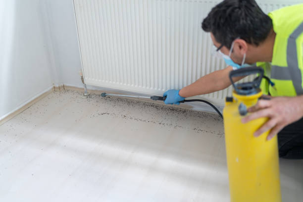 Best Local Pest Control Services  in Enfield, NC