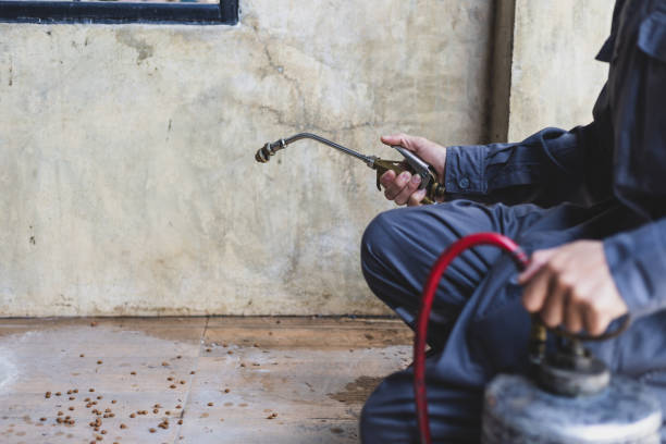 Best Pest Removal Services  in Enfield, NC