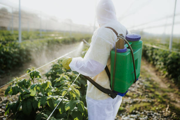 Best Pest Control Near Me  in Enfield, NC